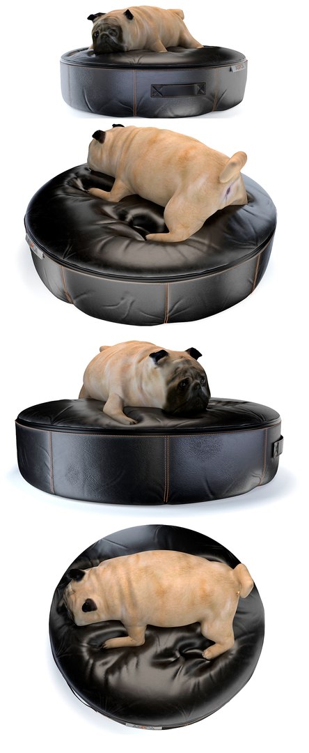 Dog Pet Model - TurboSquid 1360721