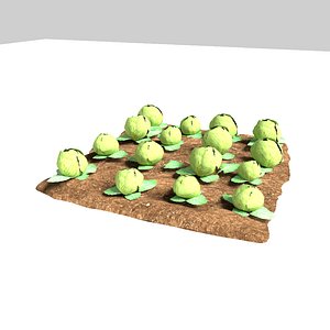 cabbage 3 growth stages 3D model