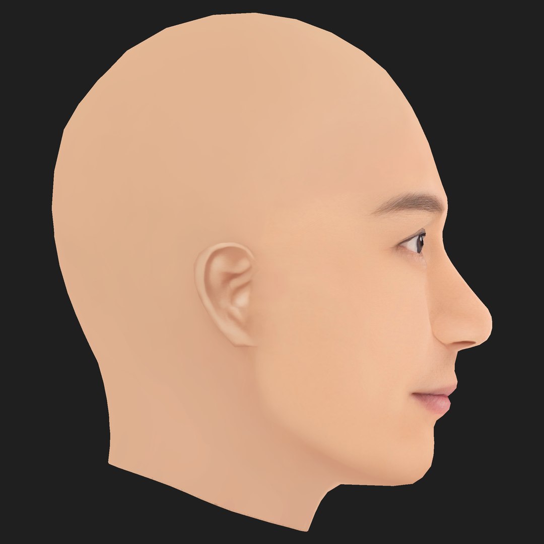 Low Poly Benny Chan - Chen Hao Min Head 3D https://p.turbosquid.com/ts-thumb/hZ/1j2qFn/kf/06/png/1787280250/1920x1080/fit_q87/eda8dd0e6320a194c95afd5a19e7e0699f589b87/06.jpg