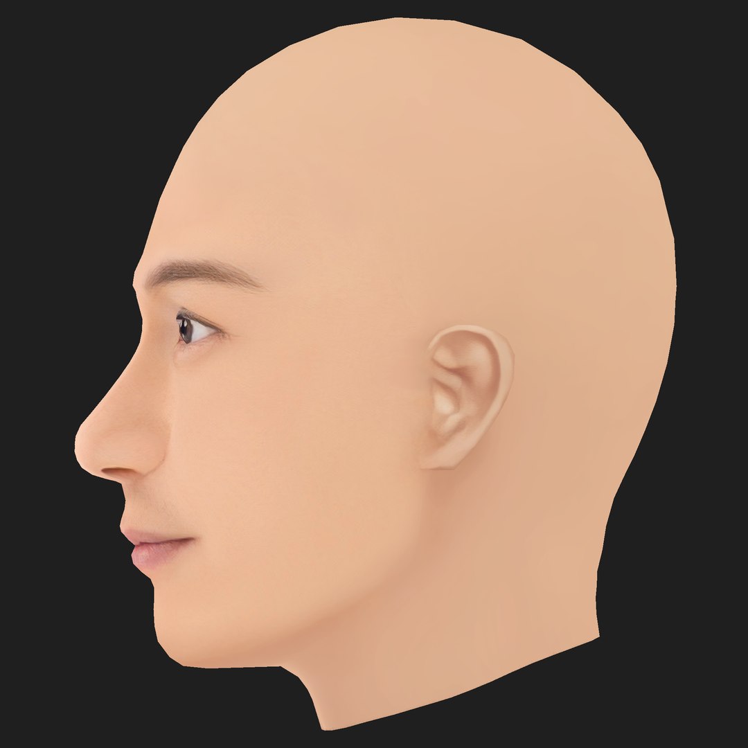 Low Poly Benny Chan - Chen Hao Min Head 3D https://p.turbosquid.com/ts-thumb/hZ/1j2qFn/qe/03/png/1787280245/1920x1080/fit_q87/35b90b8cdc90aa43e357fc281e08fd312032fe3f/03.jpg