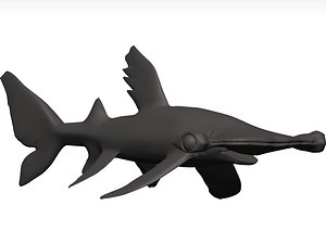 Hammerhead Shark Stl 3D model