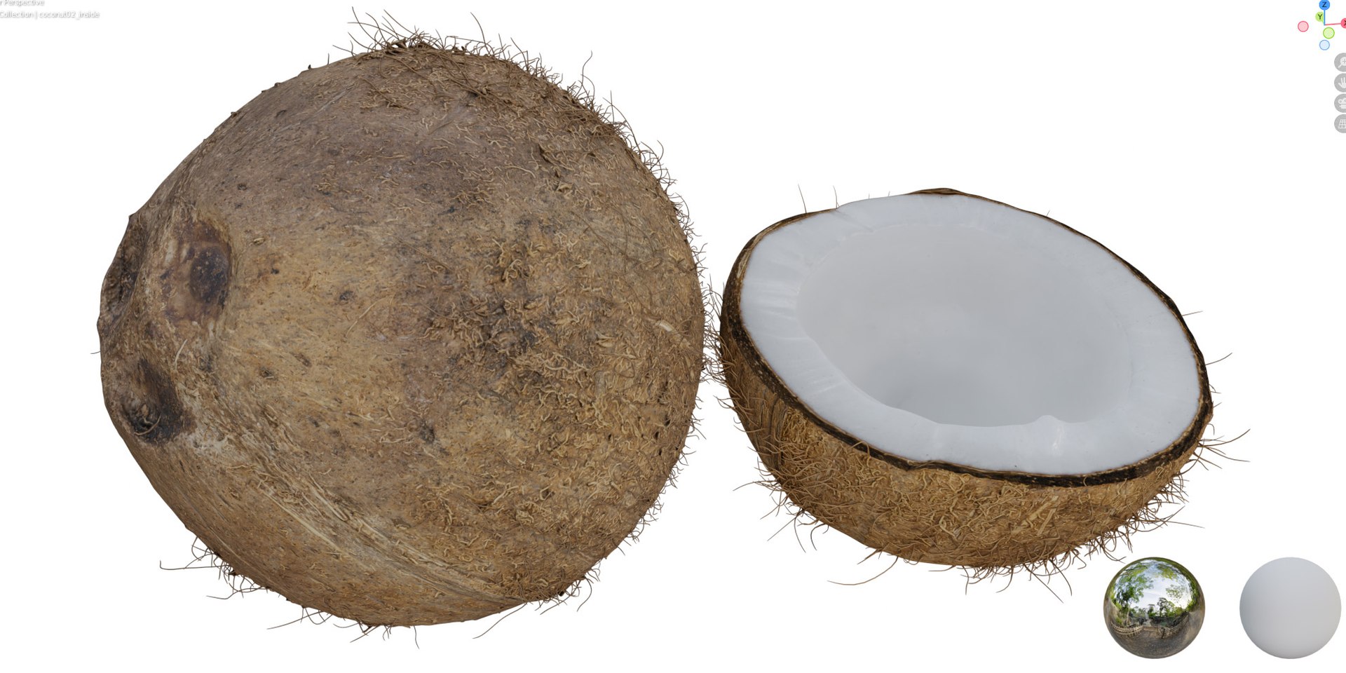 4k coconut 02 3D model - TurboSquid 2025483