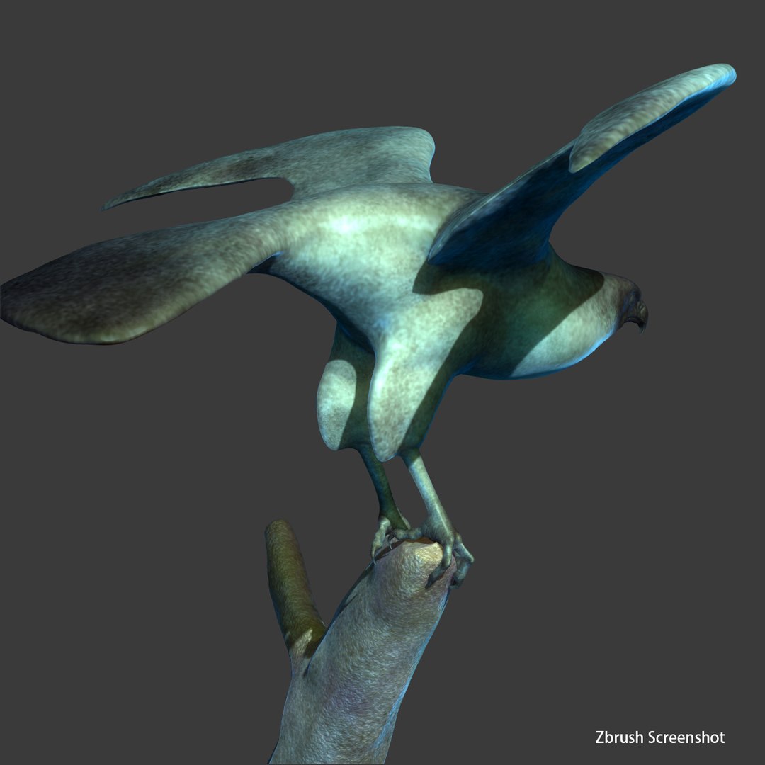obj eagle statue https://p.turbosquid.com/ts-thumb/hZ/HaafxH/ekq85ewx/z2/jpg/1391270590/1920x1080/fit_q87/dedd8315fe1e0360f3bd405c07ac060959943763/z2.jpg