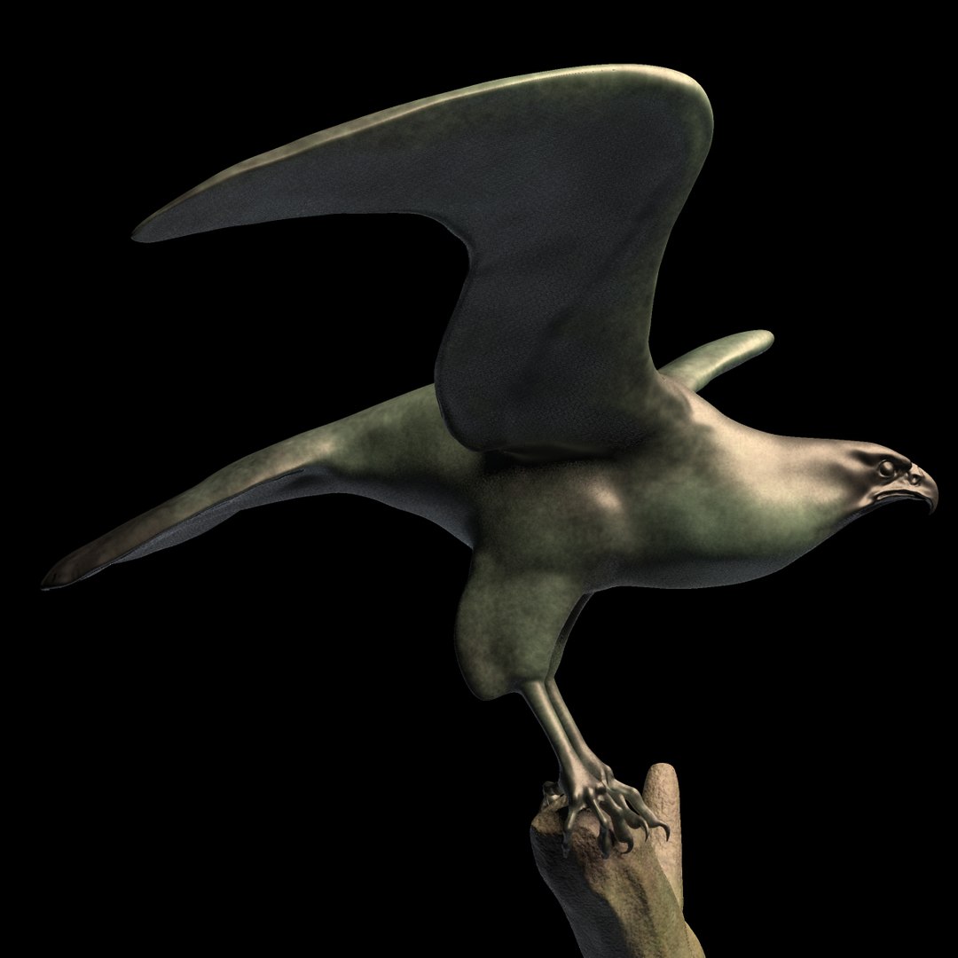 obj eagle statue https://p.turbosquid.com/ts-thumb/hZ/HaafxH/iRBbVRgO/v4/jpg/1391270552/1920x1080/fit_q87/634a0f8036a9480745b52c0835c51a4186802701/v4.jpg
