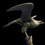Stone Eagle Sculpture