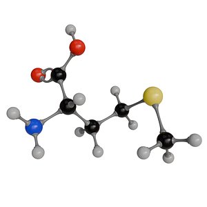Methionine Molecule Model