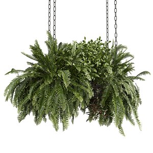 Collection plant vol 1008 V-ray 6 max 2015 3D model