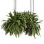 Collection plant vol 1008 V-ray 6 max 2015