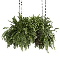 Collection plant vol 1008 V-ray 6 max 2015