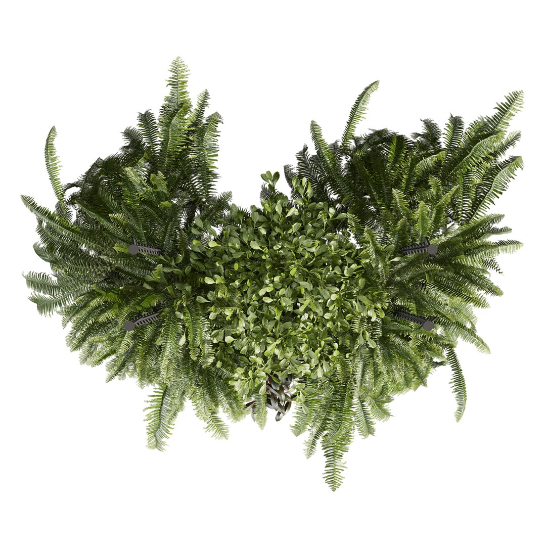 Collection plant vol 1008 V-ray 6 max 2015 3D model https://p.turbosquid.com/ts-thumb/hZ/Tlb4Aj/EK/3/jpg/1788624859/1920x1080/fit_q87/79e5f5452244a492ce5c73604593bbb82b4d1e63/3.jpg