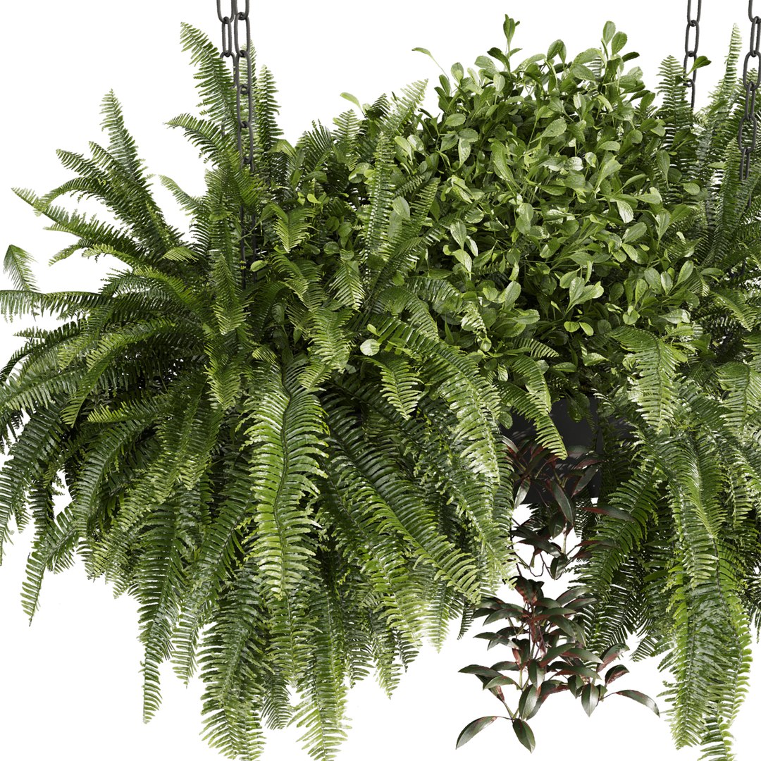 Collection plant vol 1008 V-ray 6 max 2015 3D model https://p.turbosquid.com/ts-thumb/hZ/Tlb4Aj/LP/2/jpg/1788624860/1920x1080/fit_q87/a357994d5a930cf58eecad573a98506b0fc4589f/2.jpg