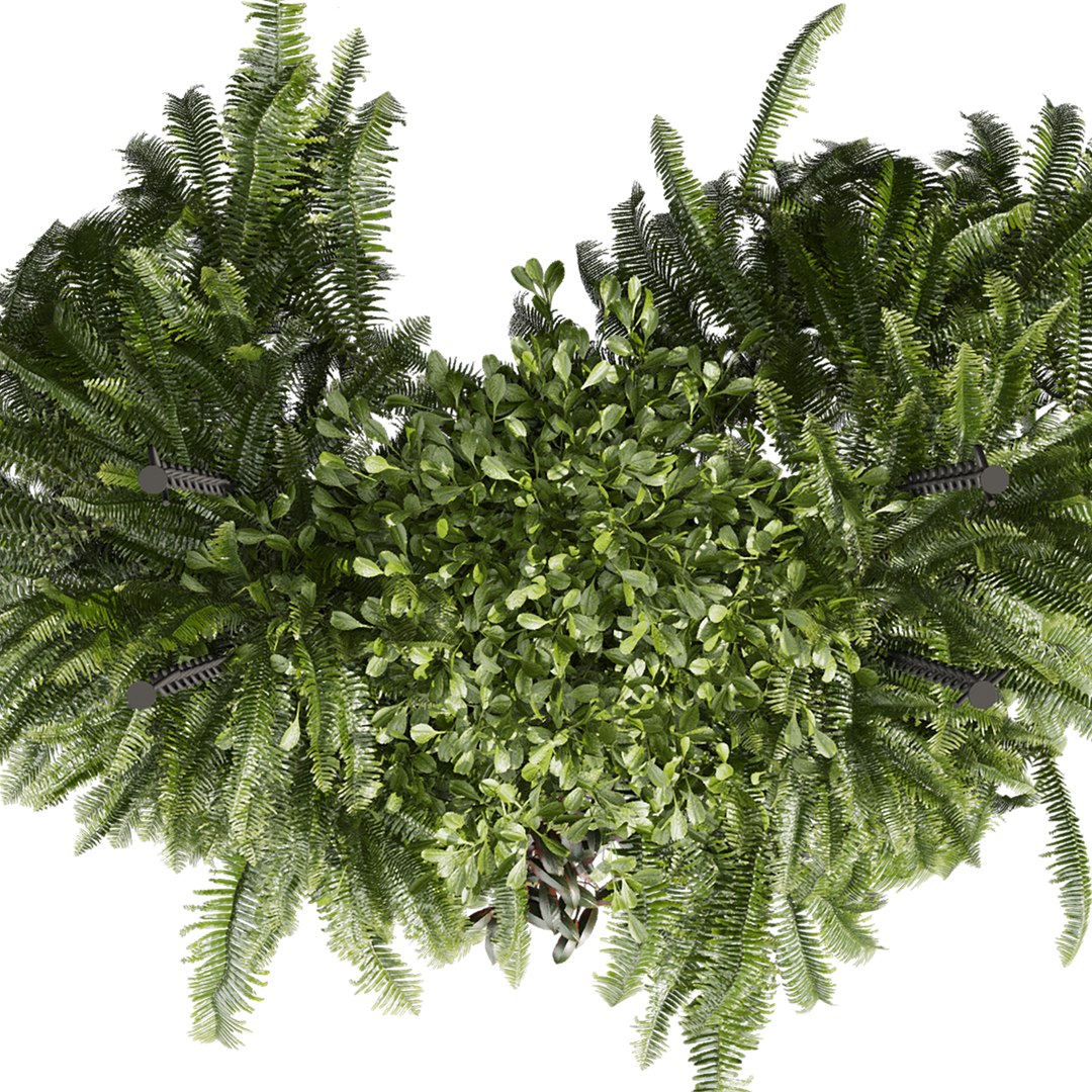 Collection plant vol 1008 V-ray 6 max 2015 3D model https://p.turbosquid.com/ts-thumb/hZ/Tlb4Aj/OD/5/jpg/1788624862/1920x1080/fit_q87/c357f999fd6a5900880a6c5768a41c1a358e7c15/5.jpg
