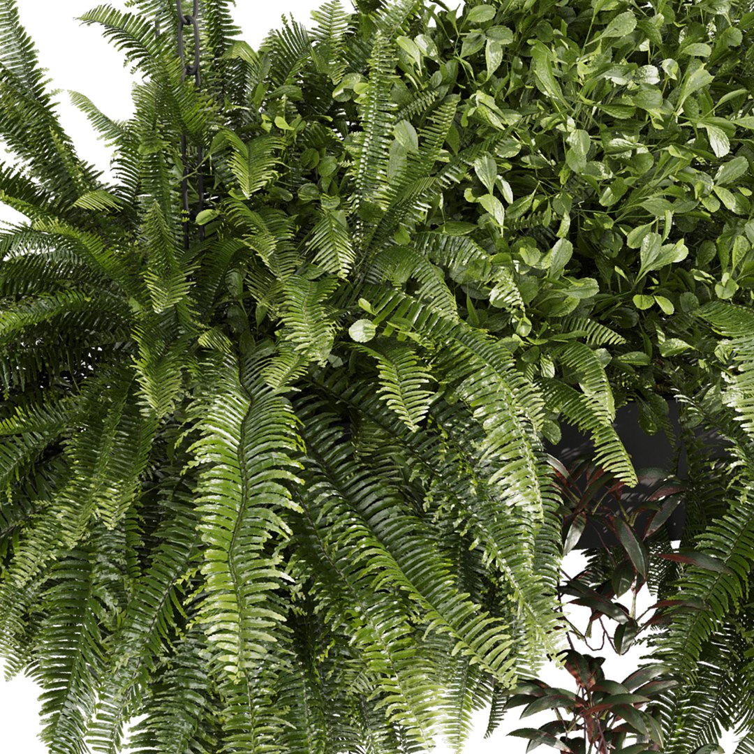 Collection plant vol 1008 V-ray 6 max 2015 3D model https://p.turbosquid.com/ts-thumb/hZ/Tlb4Aj/bQ/4/jpg/1788624862/1920x1080/fit_q87/311d2e81dd8a2c4ad6fe9d1a5bfa3edaa5072deb/4.jpg