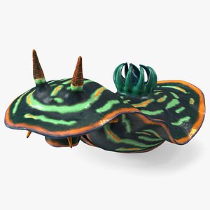 Dusky Nembrotha 3D model