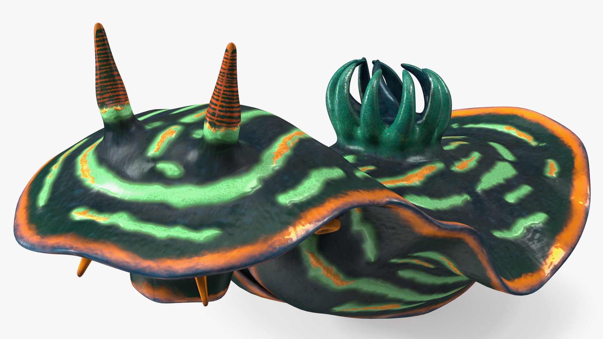 Dusky Nembrotha 3D model preview