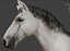 Caballo blanco manipulado y animado