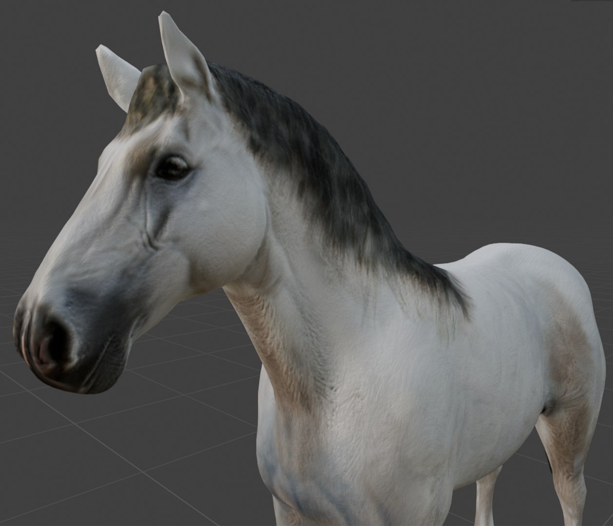 Rigged and animated white horse 3D model https://p.turbosquid.com/ts-thumb/hZ/gYUjcS/hS/img/png/1741988854/1920x1080/fit_q87/9f624282710ba0784201aca1a74ba4dbbe65a60e/img.jpg