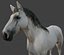 Caballo blanco manipulado y animado