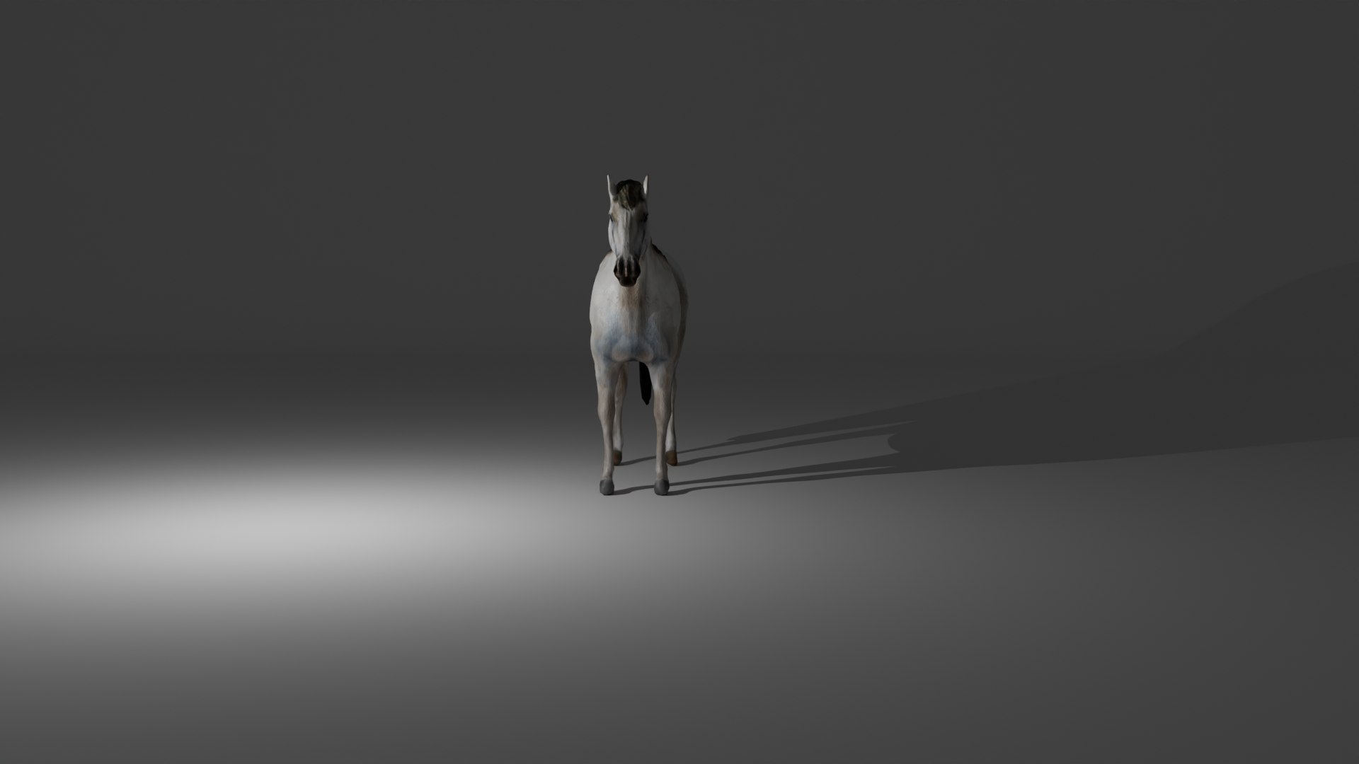 Rigged and animated white horse 3D model https://p.turbosquid.com/ts-thumb/hZ/gYUjcS/iF/img4/png/1735689649/1920x1080/fit_q87/cb7fa193c9e5040f6161814016477fc3721ab64d/img4.jpg