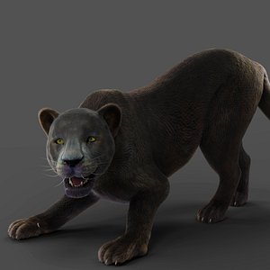 Fur Black Panther Rigged and Animation in Blender model