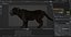 Fur Black Panther Rigged and Animation in Blender