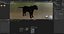 Fur Black Panther Rigged and Animation in Blender