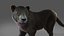 Fur Black Panther Rigged and Animation in Blender