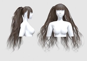 Ponytails Bangs Hair 3D model