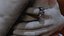 Ring Model model