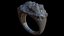Ring Model model