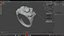 Ring Model model