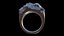 Ring Model model
