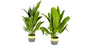 3D Collection plant vol 465 - blender model model