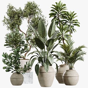 3D model AV Indoor Plants Set 429 Palm Euphorbia Olive Ficus