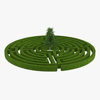 Labyrinth Garden with Tree