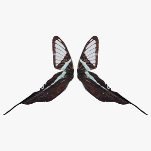 Lamproptera Meges Green Dragontail Remastered 3D model