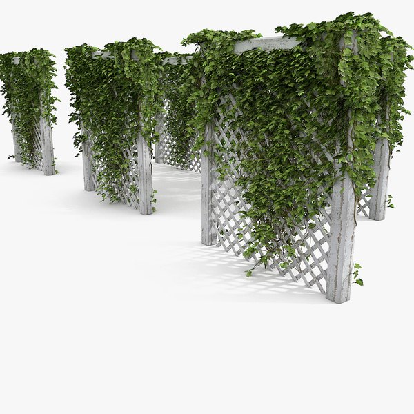 Garden 3d model