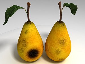realistic rotten pear 3d c4d