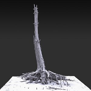 Desert Tree standing 07 3D Scan 3D model