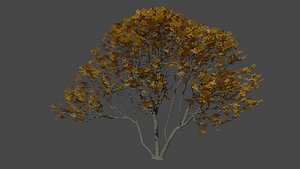 tree leaf 3D