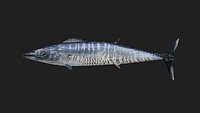 Wahoo