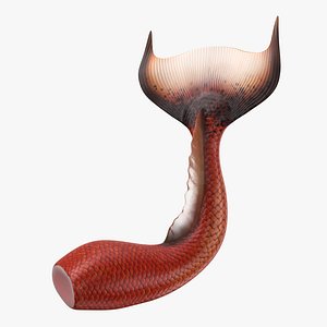 Mermaid Tail 01 Laying