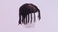 Short Braided Dreadlocks - Polo G Inspired Hairstyle