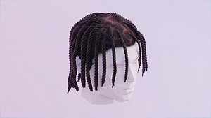 Short Braided Dreadlocks - Polo G Inspired Hairstyle
