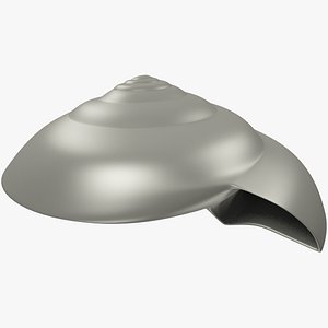 seashell sea shell 3D model