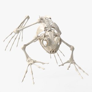 Frog Skeletal Jumping Animated Rigged For Blender