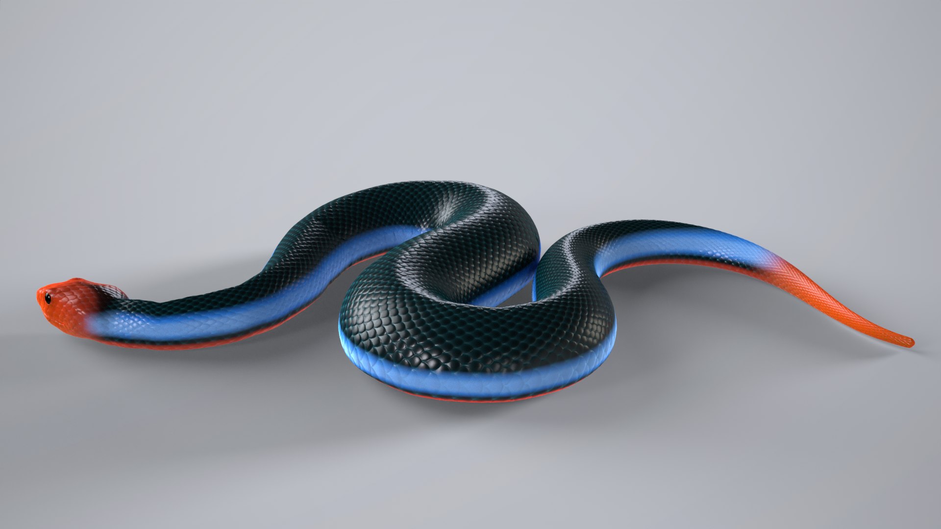 Snake Set Animated Rigged 8 Colour Variations Pack Collection Low Poly ...
