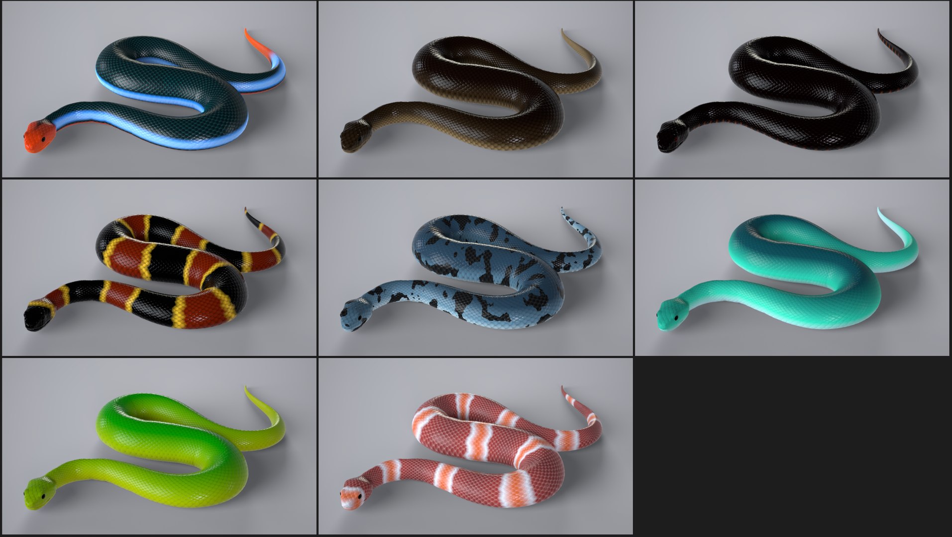 Snake Set Animated Rigged 8 Colour Variations Pack Collection Low Poly ...