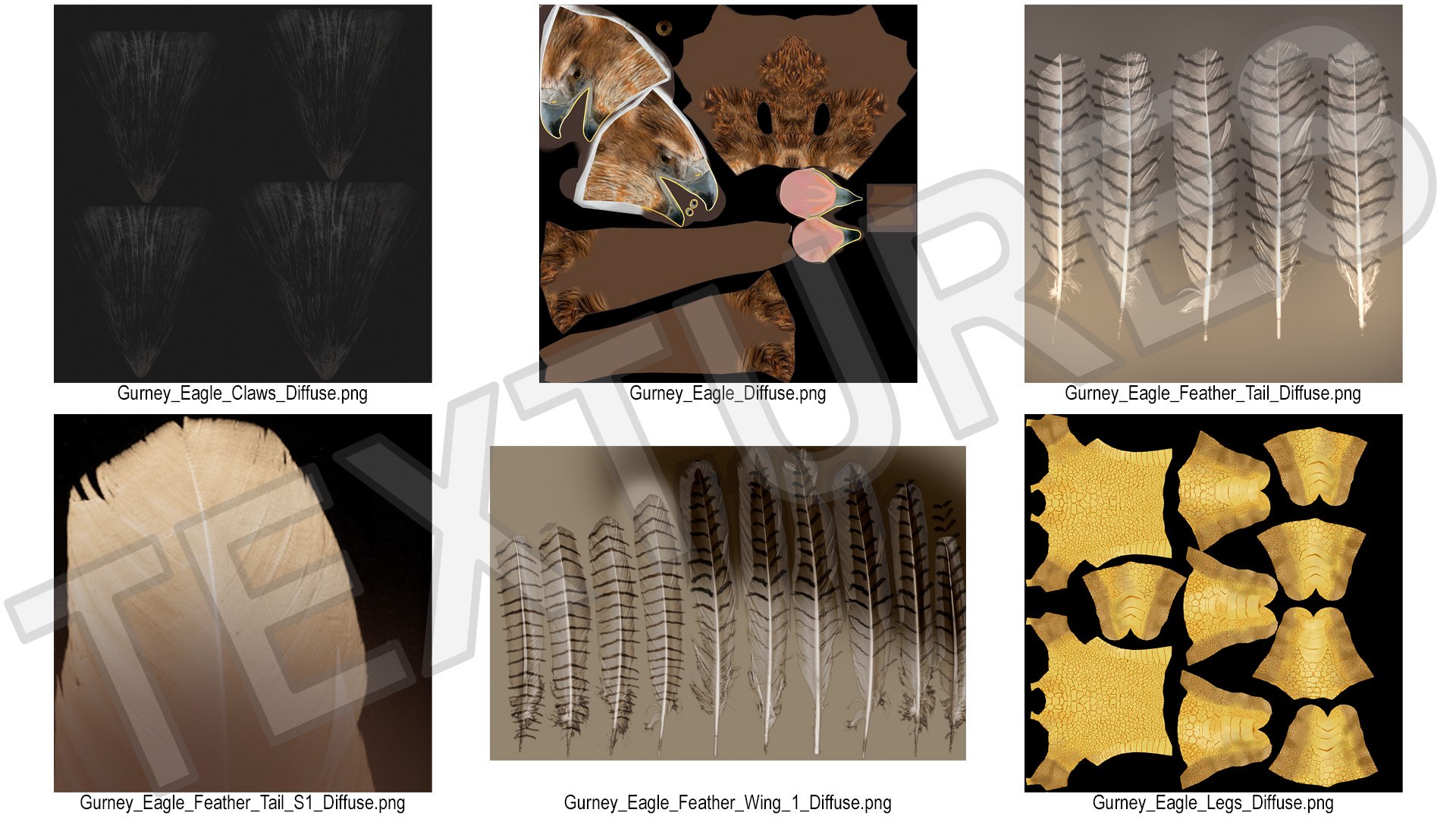 Gurney Eagle Attacking Pose 3D https://p.turbosquid.com/ts-thumb/hb/LQY5jH/8i/gurneyeagleattackingpose3dsmodel021/jpg/1719971894/1920x1080/fit_q87/94665bcc3c718e2dfecb909576573a083740a45c/gurneyeagleattackingpose3dsmodel021.jpg