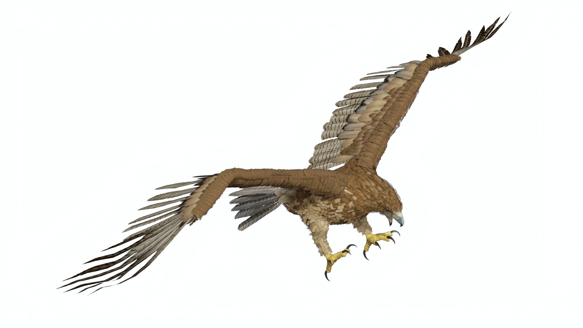 Gurney Eagle Attacking Pose 3D https://p.turbosquid.com/ts-thumb/hb/LQY5jH/Cs/gurneyeagleattackingpose3dsmodel007/jpg/1719971805/1920x1080/fit_q87/baa8c8f90001093a16553ebfac497670259f61ca/gurneyeagleattackingpose3dsmodel007.jpg